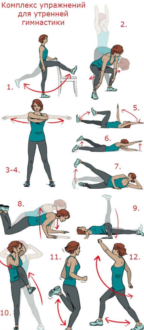 Утренняя зарядка комплекс упражнений в картинках. 12 упражнений для утренней зарядки