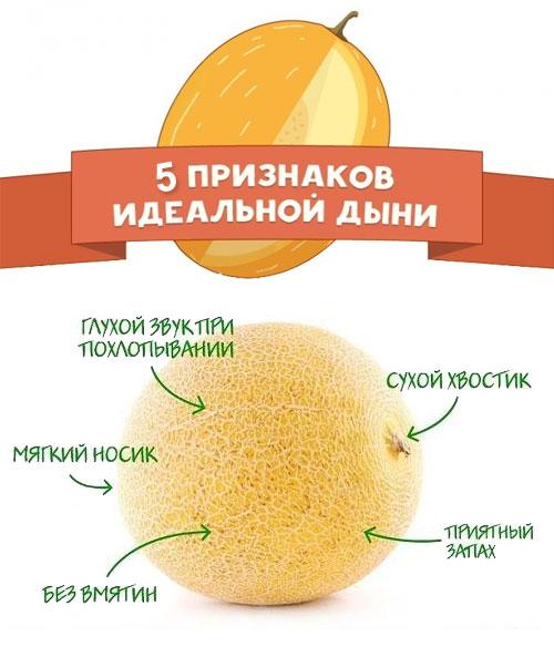 100 грамм дыни это сколько. Дыня