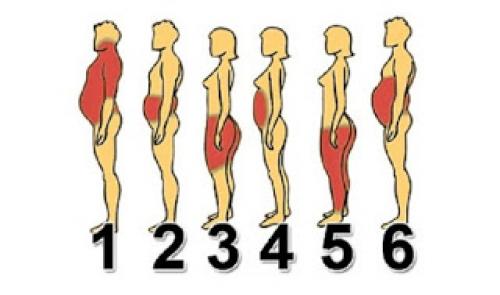 6 типов ожирения и как справиться. 6 типов ожирения. Как справиться с каждым из них