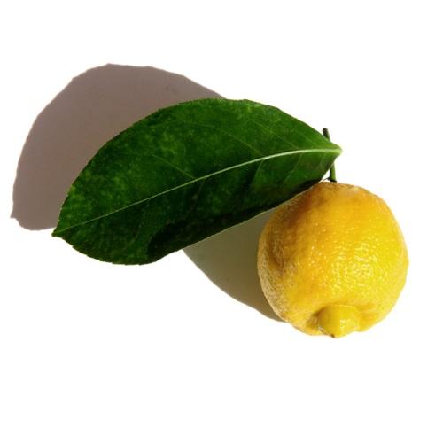 Яблоко ккал на 100. Калорийность разных типов яблок 18