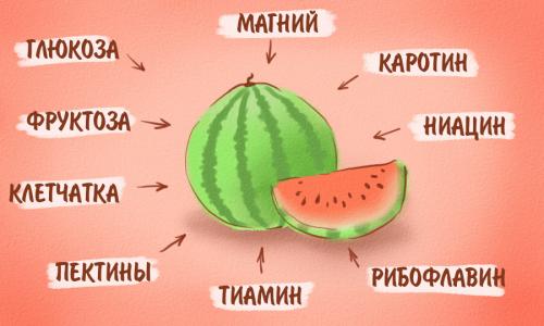 Арбуз на питьевой диете. Правила питания