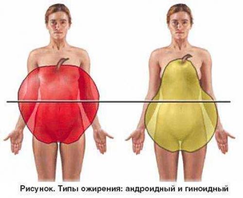 Упражнения для уменьшения живота. Почему увеличивается вес?