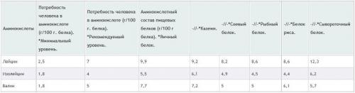 Из чего состоят белки. Белки: начинаем с теории 01