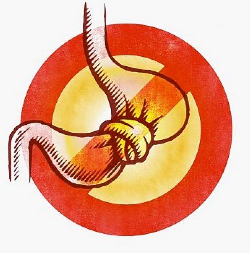 Как можно похудеть на 20 кг. Как похудеть на 20 кг за 2 недели без диет 15 Как можно похудеть на 20 кг. Как похудеть на 20 кг за 2 недели без диет 15