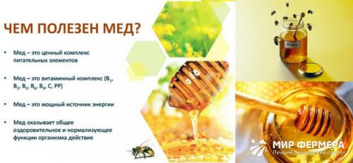 Сколько калорий в меде. Калорийность меда
