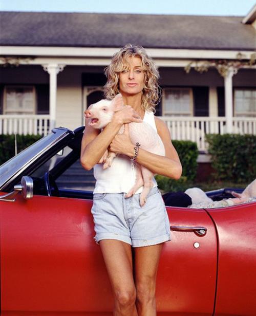 Идеальная фигура у девушки. Идеальные женские фигуры последних 60 лет (15 фото)