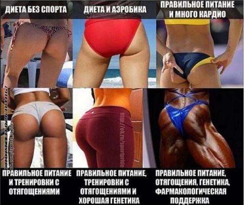 Фитнес или тренажерный зал для фигуры. Силовые