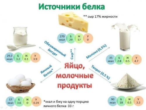 Белок продукты. Какие продукты содержат белок в большом количестве