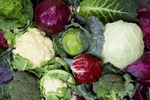 Сколько калорий в капусте