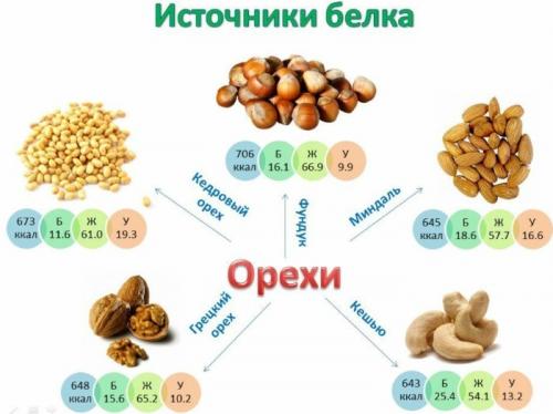 Белок продукты. Какие продукты содержат белок в большом количестве