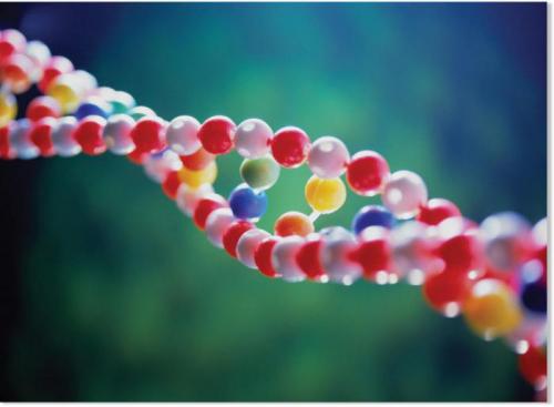 Почему толстеет только живот у женщин. Причины роста живота 12 Почему толстеет только живот у женщин. Причины роста живота 12