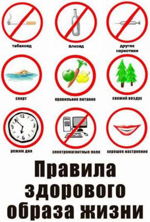В чем заключается здоровый образ жизни?
