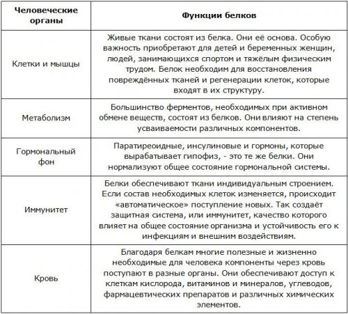 Продукты богатые белками таблица. Действие на организм 01 Продукты богатые белками таблица. Действие на организм 01