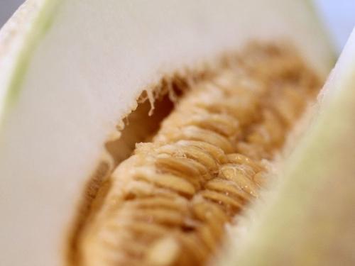 Сколько в дыне калия. Дыня – польза и вред, калорийность 05 Сколько в дыне калия. Дыня – польза и вред, калорийность 05