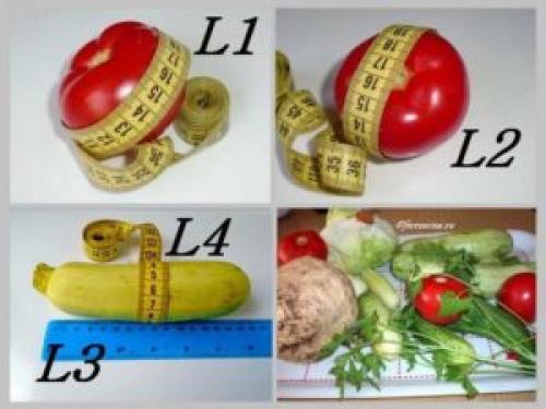 Сколько грамм в одной сливе. Вес плодов поштучно