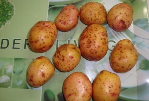 Сколько калорий в картошке в мундире – печеной и вареной?