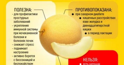 Сколько в дыне калия. Дыня – польза и вред, калорийность 06 Сколько в дыне калия. Дыня – польза и вред, калорийность 06