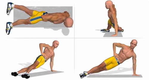 Планка на локтях, какие мышцы работают. Виды упражнения планка