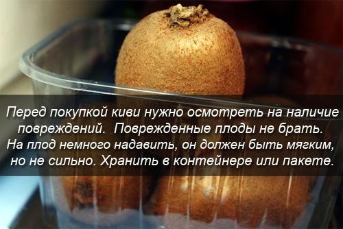 Сколько КАЛОРИЙ в киви. Киви