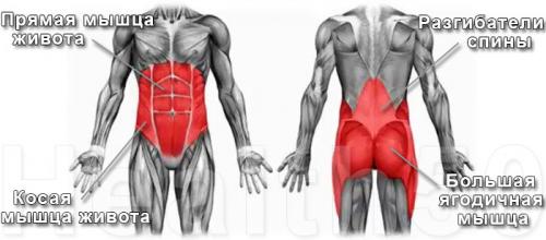 Планка каждый день. Что произойдет, если делать планку каждый день