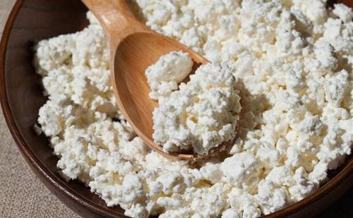 Продукты богатые белками список. Самые белковые продукты: в каких продуктах очень много белка?