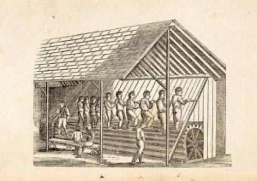 Беговые дорожки. Что это за тренажер?