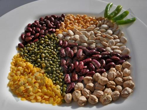 Продукты богатые белками список. Самые белковые продукты: в каких продуктах очень много белка?