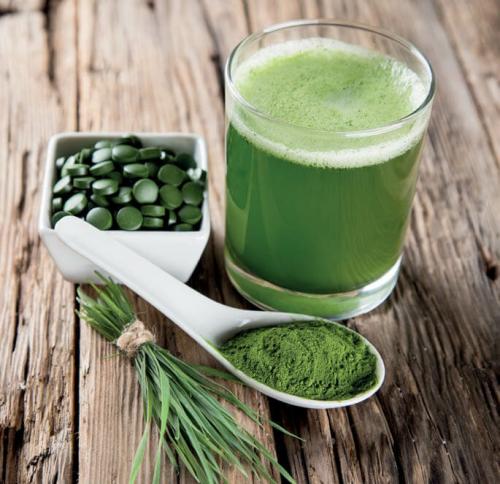 Продукты богатые белками список. Самые белковые продукты: в каких продуктах очень много белка?