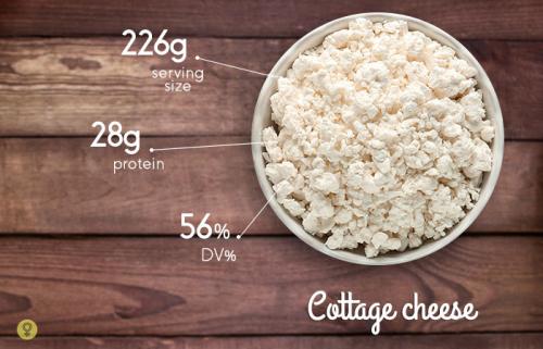 Какие продукты богаты белками список. Богатые белком яйца и молочные продукты