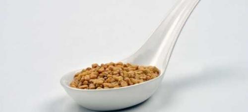 Пажитник, как употреблять для похудения. Пажитник — применение для похудения