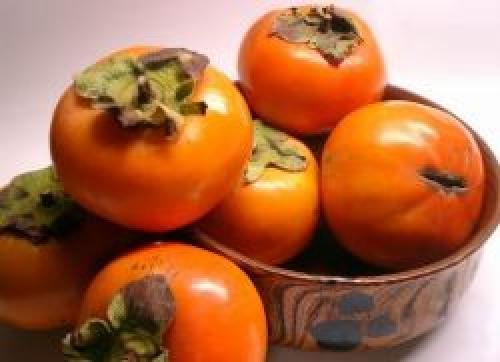 Хурма при диете можно или нет. О пользе хурмы в диетическом питании 06