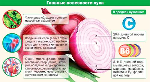 Лук углеводы. Лук репчатый