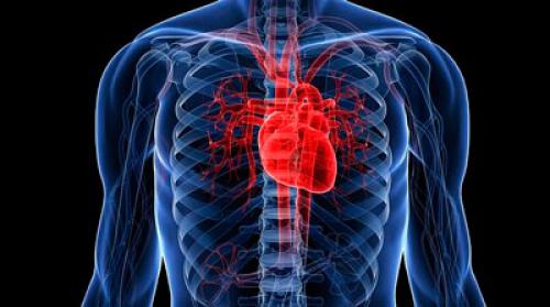 Гипертрофия мышц сердца. Что такое гипертрофия миокарда?