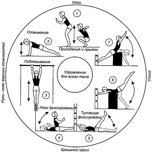 Программа тренировок для девушек в тренажерном зале для похудения. Программа тренировок в тренажерном зале для похудения