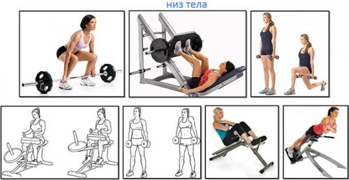 Программа тренировок для девушек в тренажерном зале для похудения. Программа тренировок в тренажерном зале для похудения