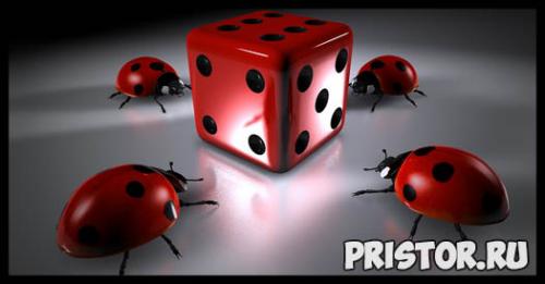 Что нужно делать. 100 вещей, которые обязательно нужно сделать хоть раз в жизни 03