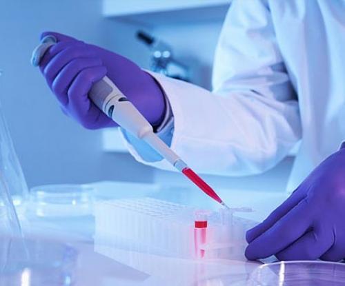 В России научились быстро определять. 06 В России научились быстро определять. 06