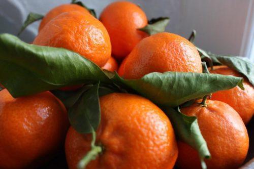 Какие фрукты можно есть. Откуда взялись мифы о вреде фруктов