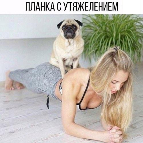 Сколько нужно стоять в планке в 12 лет. Как правильно и эффективно