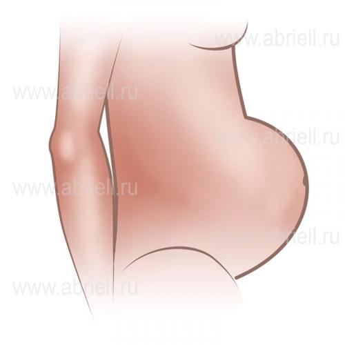 Как обрести плоских живот без тренировок. Как убрать живот 02 Как обрести плоских живот без тренировок. Как убрать живот 02
