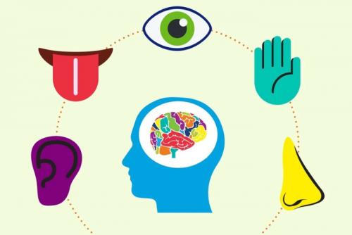 Как часто я должен выполнять это упражнение, чтобы заметить явные результаты. Упражнение для прокачки систем восприятия