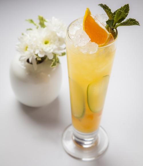 Виды лимонадов. Лимонады разных стран мира и авторские рецепты