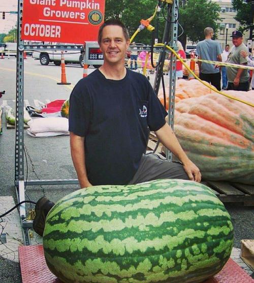 Арбуз для похудения: правда или миф 06 Арбуз для похудения: правда или миф 06