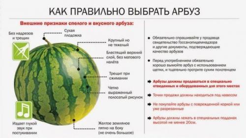 Арбуз вечером можно есть когда на диете. О пользе для похудения