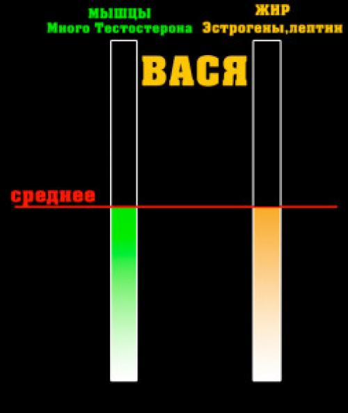 Сначала худеть или качаться. похудел и накачался