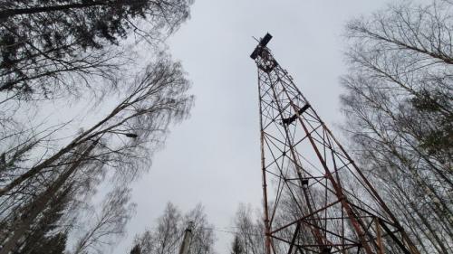 Мукбанг-блогер Николас Перри: как я похудел на 113 кг и изменил свою жизнь