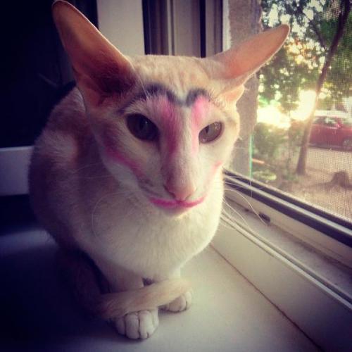 Как сделать уставший макияж. 7 ошибок в макияже, которые придают лицу утомленный и несвежий вид