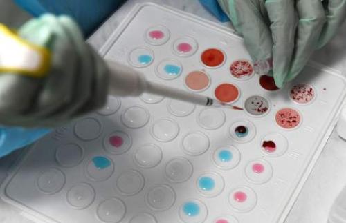 Полный гид по набору веса для мужчин: как эффективно и безопасно добавить килограммы 01 Полный гид по набору веса для мужчин: как эффективно и безопасно добавить килограммы 01