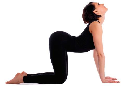 Универсальная растяжка для всего тела. Зачем нужна растяжка после тренировки? 01 Универсальная растяжка для всего тела. Зачем нужна растяжка после тренировки? 01