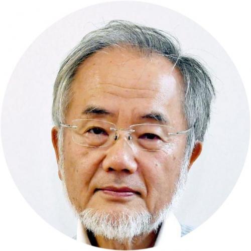 Интервальное голодание 18/6. Что такое интервальное голодание для похудения?